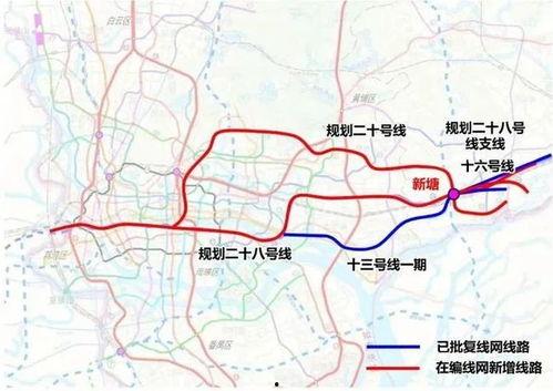 鱼珠最新爆料,揭秘行业内幕，带你走进真实市场风云